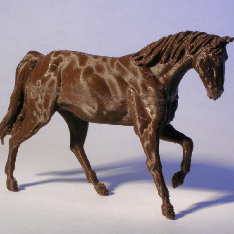 Anatomical Horse