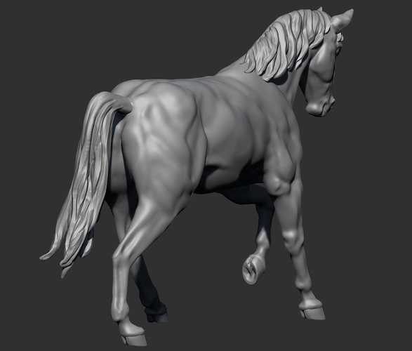 Anatomical Horse 3D Print 180337