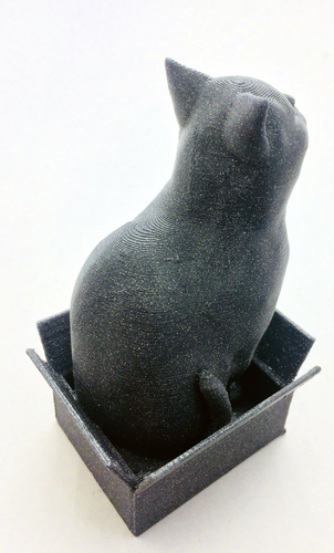 Schrodinky! British Shorthair Cat Sitting In A Box 3D Print 180411