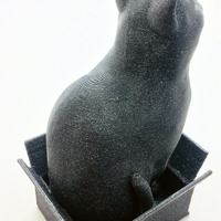 Schrodinky! British Shorthair Cat Sitting In A Box - Thumbnail 1