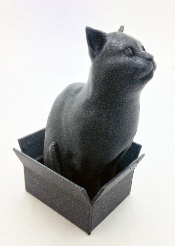 Schrodinky! British Shorthair Cat Sitting In A Box 3D Print 180412
