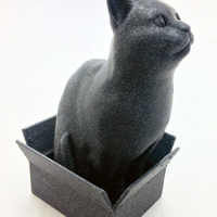 Schrodinky! British Shorthair Cat Sitting In A Box - Thumbnail 2