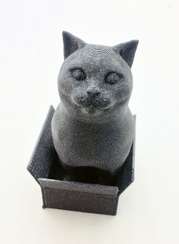 Schrodinky! British Shorthair Cat Sitting In A Box 3D Print 180413