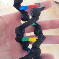 Small Educational DNA Model 3D Printing 180482