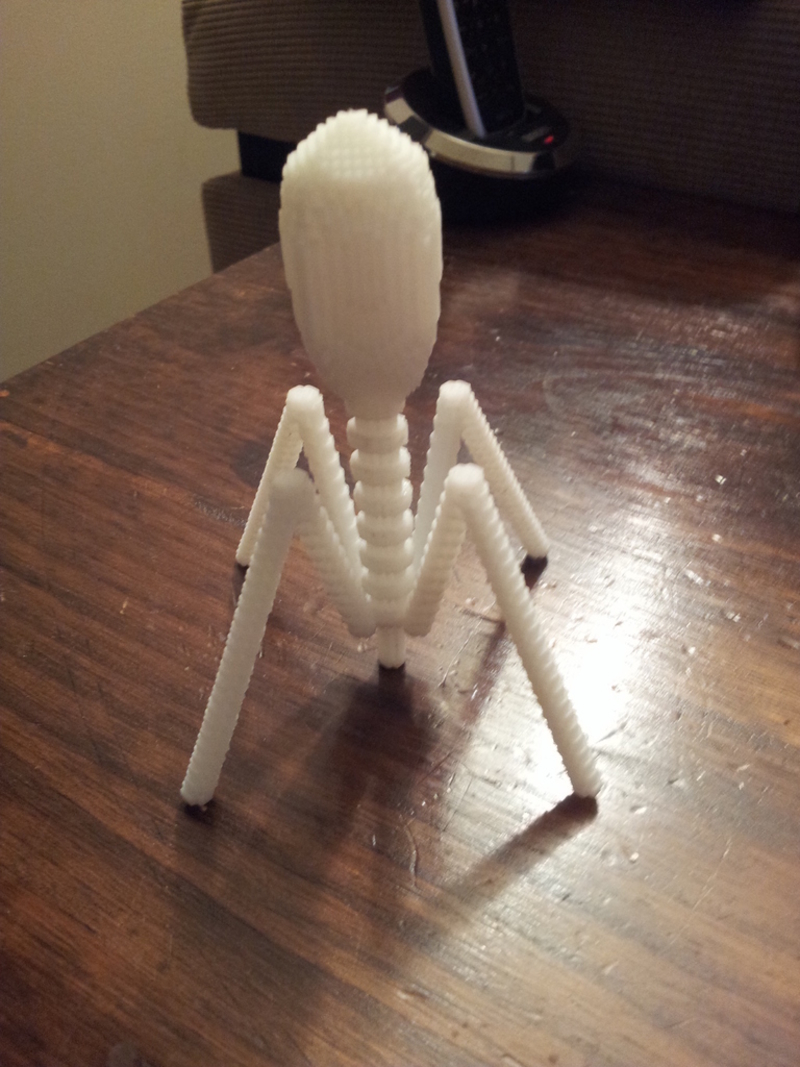 Bacteriophage