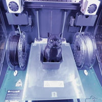 Schrodinky!: dual extrusion version - Thumbnail 1
