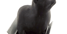 Image 180644