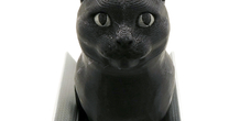 Image 180645
