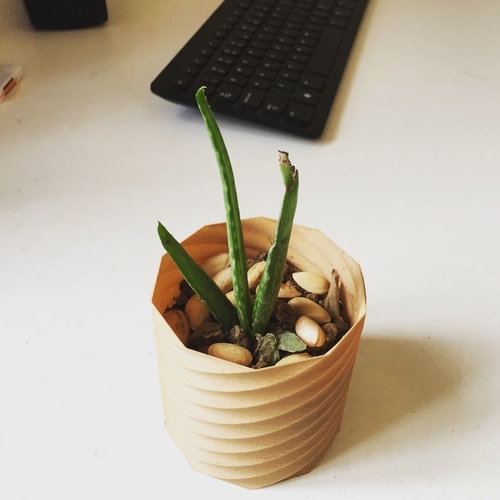 Planter 3D Print 180995