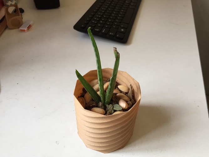 Planter 3D Print 180996