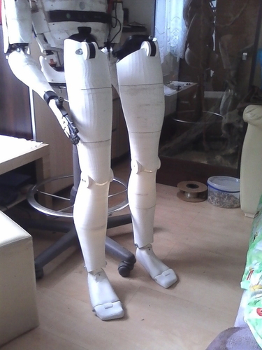 Damian legs (InMoov) 3D Print 181049