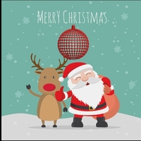 CHRISTMAS TREE BALL------CUSTOMIZABLE - Thumbnail 4