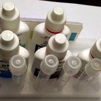 Aquarium water test kit rack - Thumbnail 3