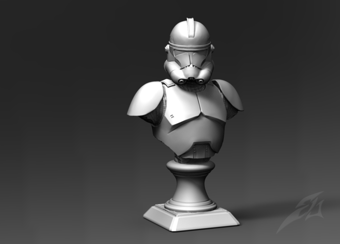 Galaxy  Trooper P2 - Bust Fan Art 3D Print 181223
