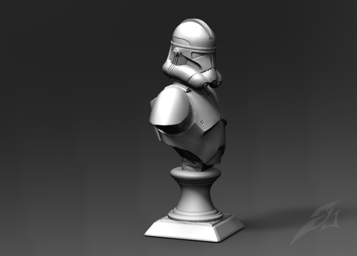 Galaxy  Trooper P2 - Bust Fan Art 3D Print 181224