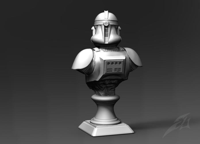 Galaxy  Trooper P2 - Bust Fan Art 3D Print 181225