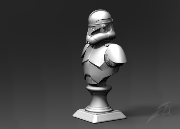 Galaxy  Trooper P2 - Bust Fan Art 3D Print 181226