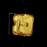Fossil of Cetacean Juvenile Caudal Vertebrae - Thumbnail 1