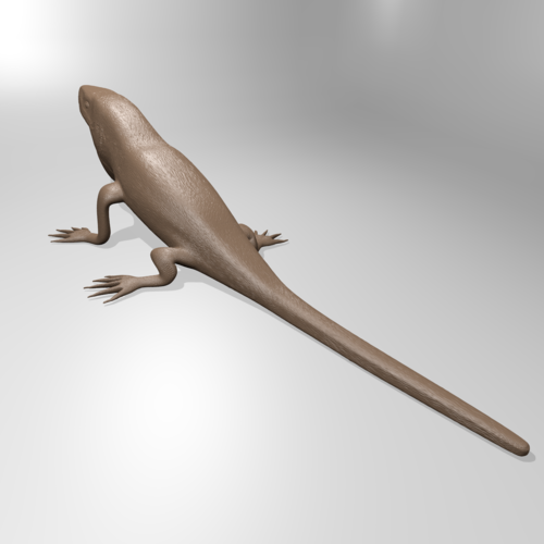 Anole lizard 3D Print 181342