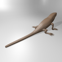 Anole lizard - Thumbnail 2