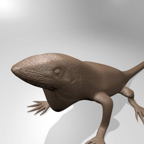Anole lizard 3D Print 181344