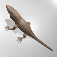 Anole lizard - Thumbnail 4