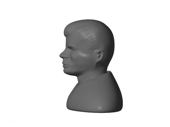 Male bust 3D Print 181353