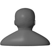 Male bust - Thumbnail 2