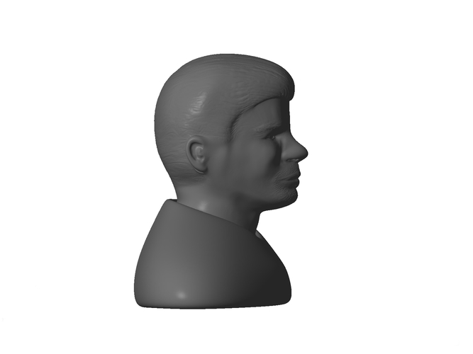 Male bust 3D Print 181355
