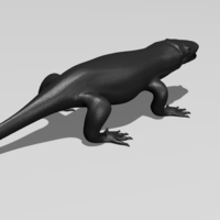 Komodo Dragon - Thumbnail 1