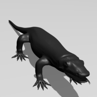 Komodo Dragon - Thumbnail 3