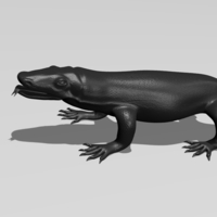 Komodo Dragon - Thumbnail 5