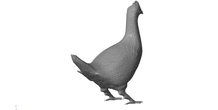 Image 181375