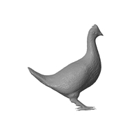 Grouse - Thumbnail 2