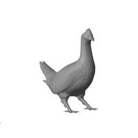 Grouse - Thumbnail 3