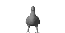Image 181378