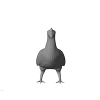 Grouse - Thumbnail 4