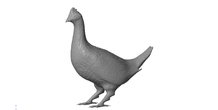 Image 181379