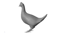 Image 181380