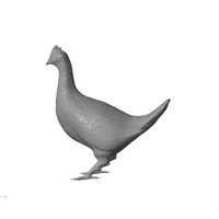 Grouse - Thumbnail 6