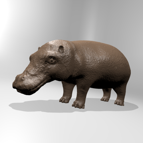 Hippopotamus 3D Print 181402