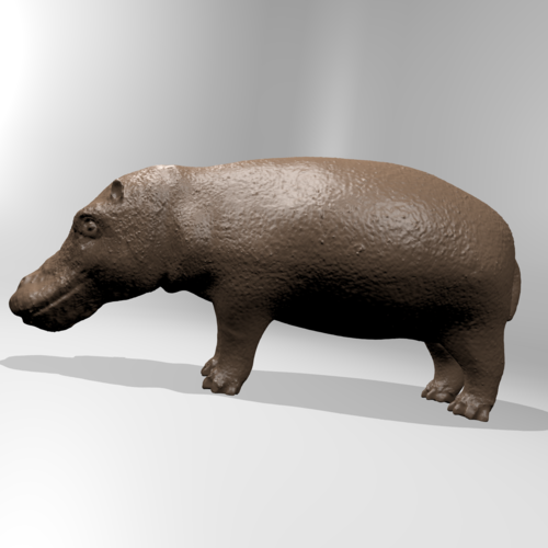 Hippopotamus 3D Print 181403
