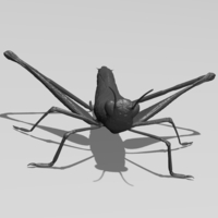 Cricket - Thumbnail 3