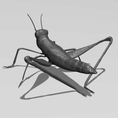 big cricket 3d printer flsun