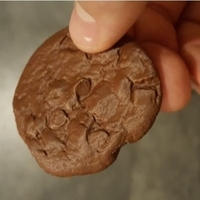 Small High Res Scan, Chocolate Chip Cookie. 3D Printing 181431