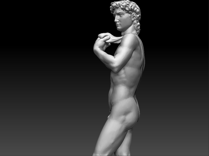 David by Michelangelo statue 3D Print 181644