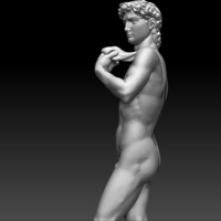 David by Michelangelo statue - Thumbnail 2