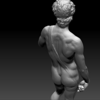 David by Michelangelo statue - Thumbnail 3