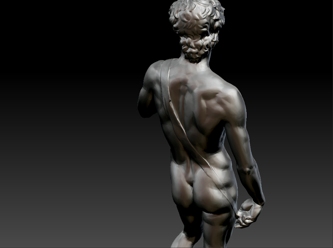 David by Michelangelo statue 3D Print 181646