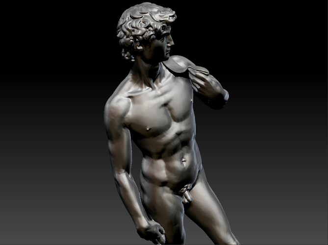 3D Printed David by Michelangelo statue by Am15